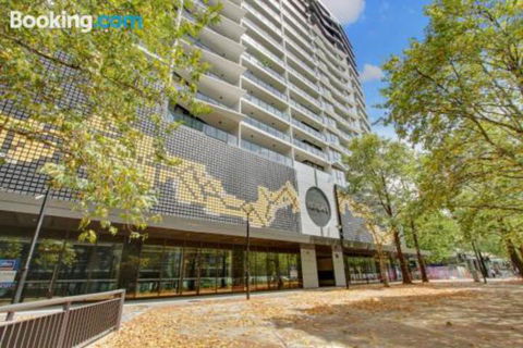 Cozy Homely Apartment CBR Central - Northern Rivers Accommodation 4