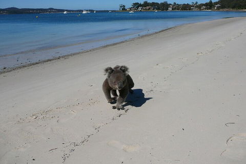 The Mitchells Waterfront Bed & Breakfast - Broome Tourism 7