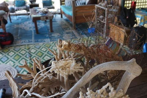Bremer Island Banubanu Beach Retreat - Accommodation Sunshine Coast 5