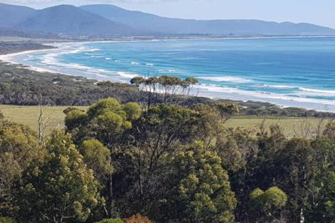 Bicheno S Ocean View Retreat - WA Accommodation 0