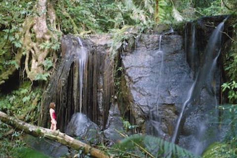 Chambers Wildlife Rainforest Lodges - Holiday Melbourne 1