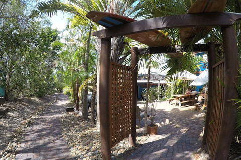 Cool Bananas Backpackers - Accommodation Newcastle 6