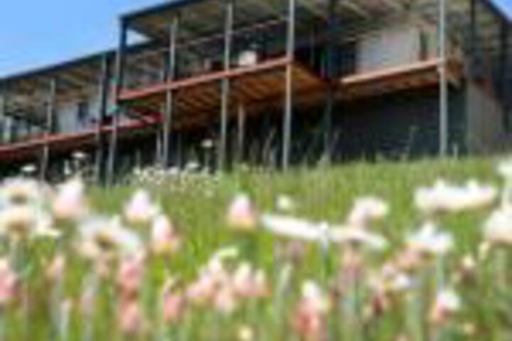 Abels Bay TAS Sunshine Coast Guide