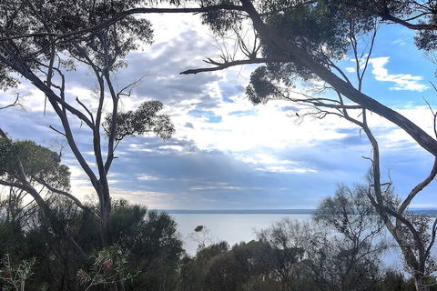 Wanderers Rest Of Kangaroo Island - Accommodation Mount Tamborine 7