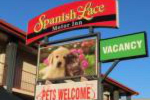 Spanish Lace Motor Inn - Accommodation NSW 0