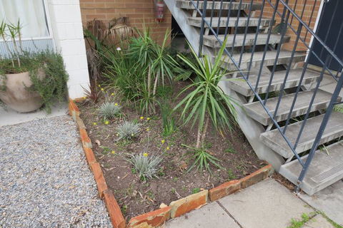 Norfolk Motor Inn - Wagga Wagga Accommodation 7