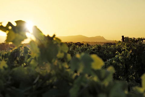 Adina Vineyard - NT Tourism 1