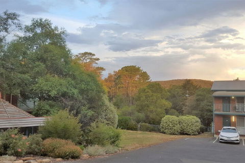 Hepburn Springs Motor Inn - Yamba Accommodation 4
