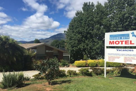 Bogong Moth Motel - Tweed Heads Accommodation 0