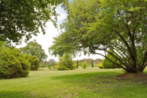 Armidale Rose Villa Motel - Whitsundays Tourism 2