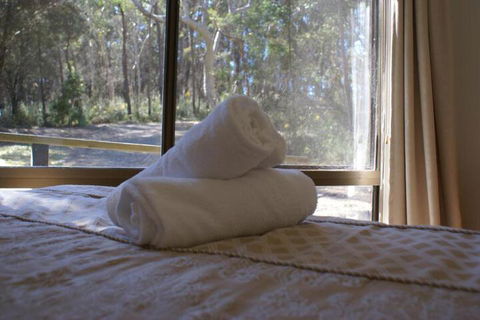 Twin Falls Bush Cottages - Northern Rivers Accommodation 5