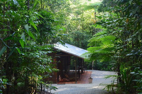 Daintree Cascades - Whitsundays Tourism 3