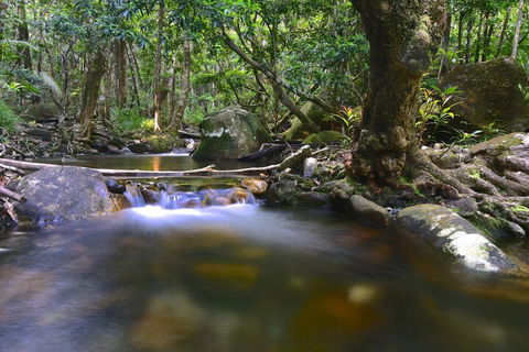 Daintree Cascades - Whitsundays Tourism 6
