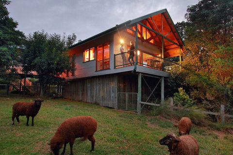 Worendo Cottages - Accommodation Newcastle 3