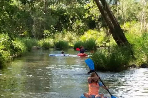 Worendo Cottages - Accommodation Newcastle 7