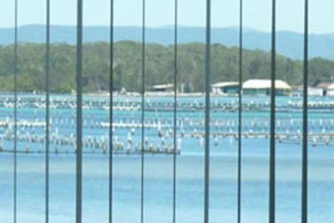 Montgomery Apartments - Hervey Bay Accommodation 0