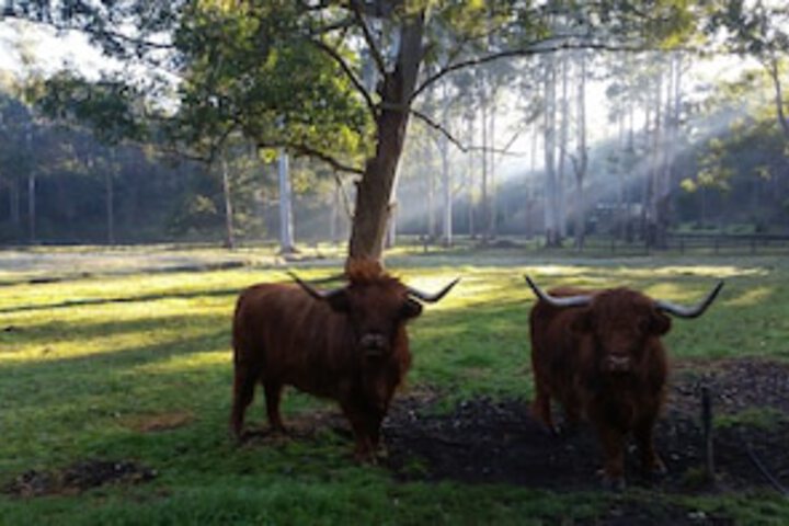 Glenhaven NSW Accommodation Newcastle