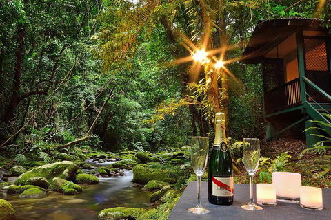 Misty Mountains Rainforest Retreat - WA Accommodation 3