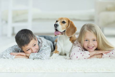 BOUTIQUE STAYS - Brighton Rose - Accommodation Newcastle 2