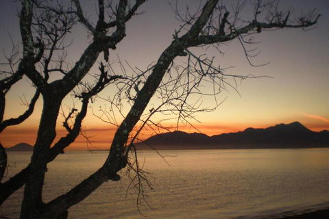 Daintree Village Hideaway - Hotel VIC 3