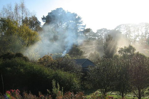 Summerhill Farm B & B - Northern Rivers Accommodation 3