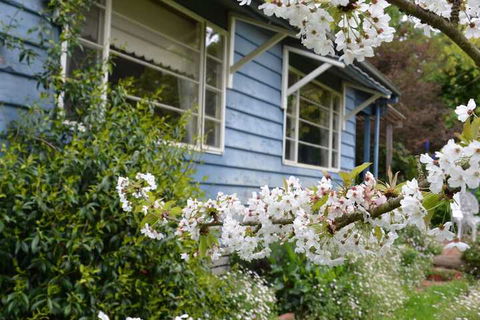 Summerhill Farm B & B - Northern Rivers Accommodation 2