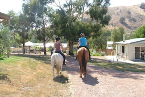 Halls On Falls Homestead - Accommodation Yamba 1