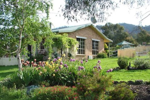 Halls On Falls Homestead - Accommodation Yamba 0