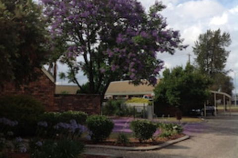 Belvoir Village Motel & Apartments Wodonga - Holiday Melbourne 0
