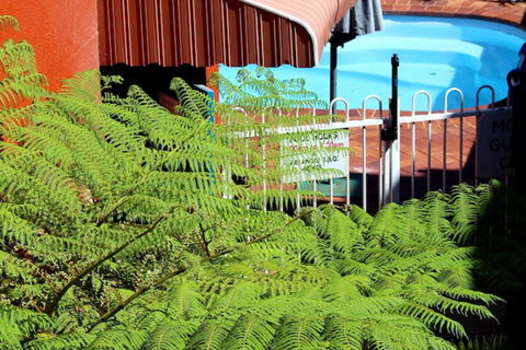 Matilda Motel - Yamba Accommodation 5