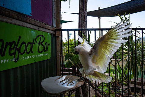 Backpackers By The Bay - Accommodation Brisbane 2