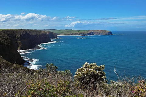 Woodland By The Bay & Puddleduck Cottage - Accommodation Newcastle 5