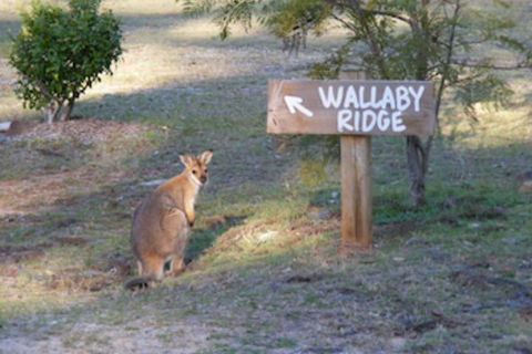 Wallaby Ridge Retreat - Accommodation Whitsundays 0