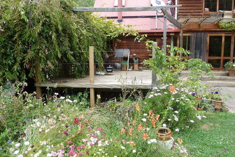 Birdwing Bed & Breakfast Weegena - Accommodation Directory 6