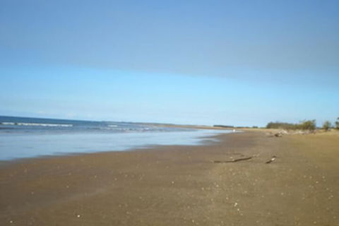 Moore Park Beach Motel - Accommodation Yamba 0