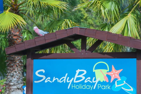 Sandy Bay Holiday Park - YWait Travel 0