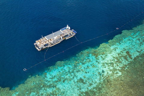 Reefsleep - Accommodation Brisbane 1