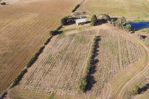 Charles Reuben Estate - Victoria Tourism 1