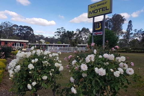 Seymour Motel - Tourism Bookings 6