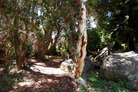 The Hideaway Luxury B & B Retreat - Accommodation Yamba 6