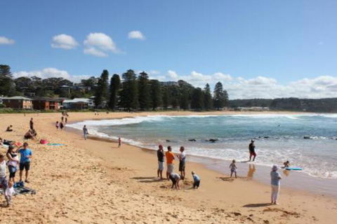 Avoca Beach Cape Cottage - Holiday Sydney 0