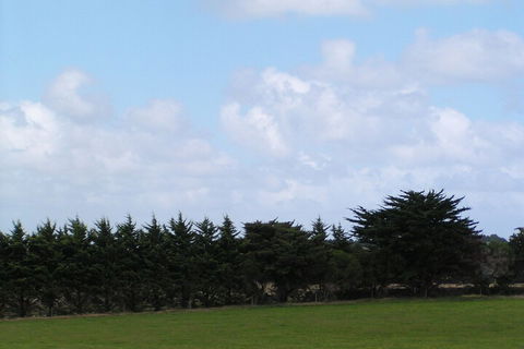 Karingal Homestead B & B - Accommodation Ballina 5