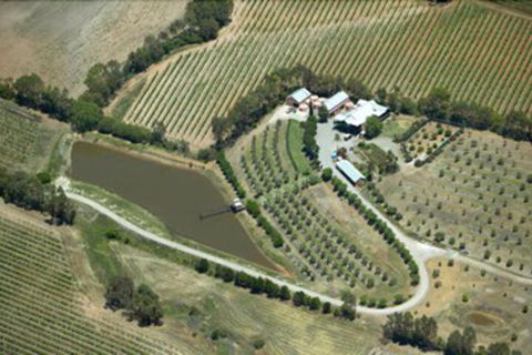 Patly Hill Farm - Accommodation Sydney 1