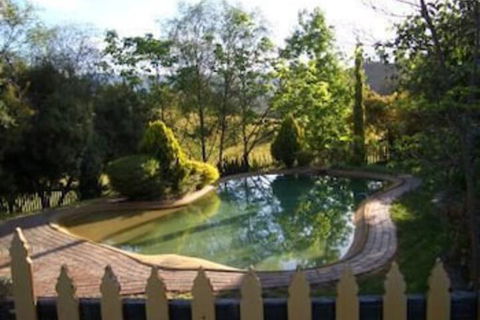Willowlake Cottages - Accommodation Newcastle 1