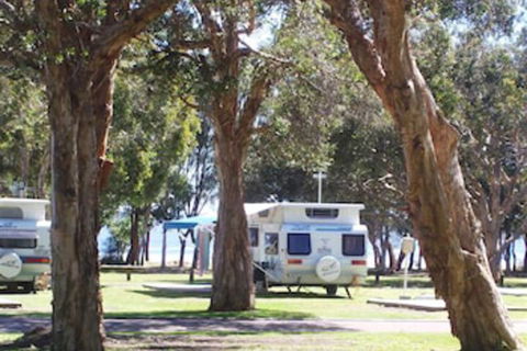 Budgewoi Holiday Park - Tourism Bookings 2