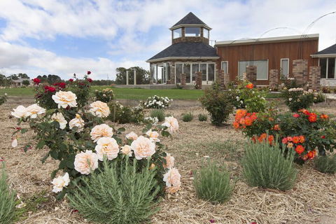Aurora Manor Rooms - Accommodation Newcastle 3