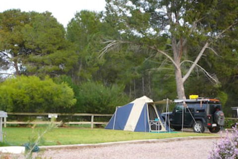 Gladstone Caravan Park - South Australia - WA Accommodation 5