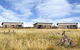 Savannah Cabins - thumb 0