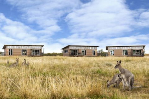 Savannah Cabins - Tourism Listing 0