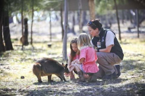 Billabong Camp Taronga Western Plains Zoo - Yamba Accommodation 6